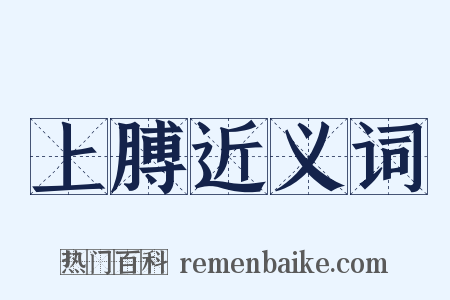 上膊近义词是什么意思的图片